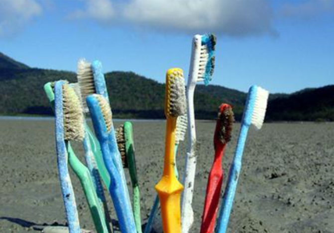 Everything you need to know about Bamboo Toothbrush