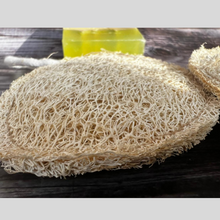 Load image into Gallery viewer, Organic Loofah | Pack of 2
