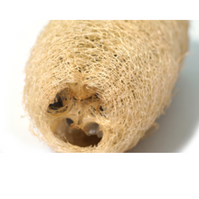Load image into Gallery viewer, Organic Loofah | Pack of 2
