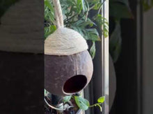 Load and play video in Gallery viewer, Natural Coconut Shell Bird nest | Bird Feeder
